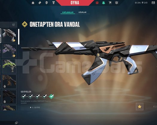 60 K VP YATIRILMIŞ DOLU HESAP