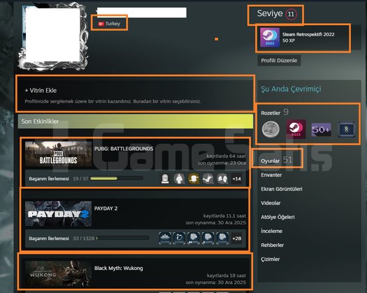 4 MADALYALI 10 LV NFS HEAT Far Cry 6-5-4 Remnant I
