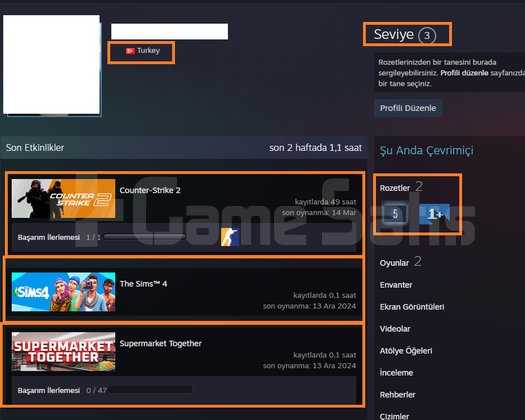2 MADALYALI 13 LV 80 TL CS 2 ENVANTERLİ FACEİT İLK