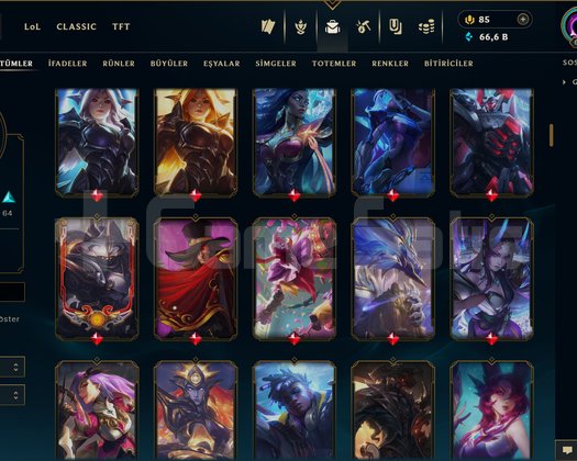 TR / 660 LEVEL / 175 SKİN / FUL HERO +MAİL