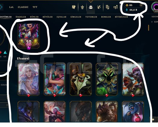 TR / 660 LEVEL / 175 SKİN / FUL HERO +MAİL