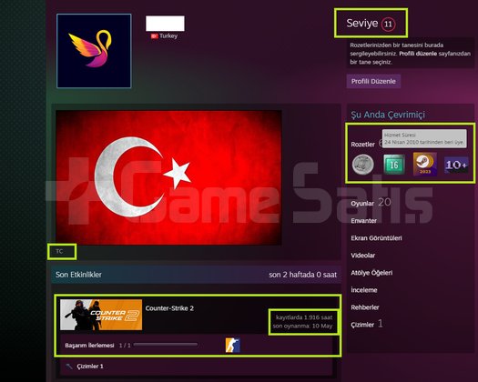FACEİT+12 MADALYA 868 WİN 1916 SAAT SEÇKİN