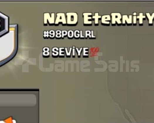8 SEVIYE 3000 XP KLAN NAD Eternity