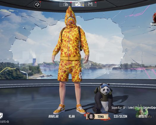 SARI BAPE FULL KOMBİN