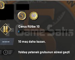 10 lvl seçkin hazır 20 usd envanter