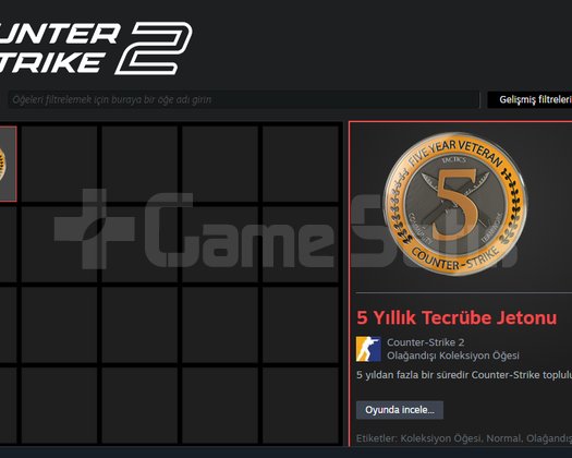 5 yıllık rozetli steam hesabı