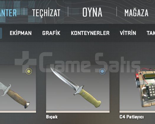 5 yıllık rozetli steam hesabı