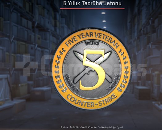 5 yıllık rozetli steam hesabı