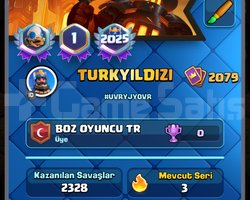 Nerdeyse full hesap