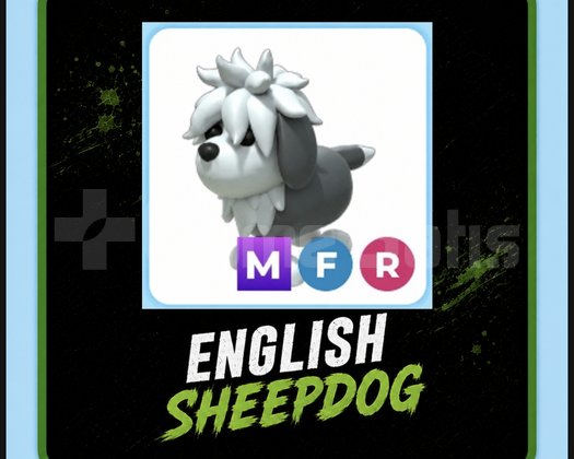 ENGLİSH SHEEPDOGmfrAdopt me EN UCUZUU