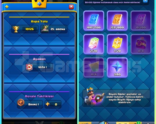 58 LVL 16 EVRİM 11 TANE 15 73 EMOJİ 10.000 KUPA