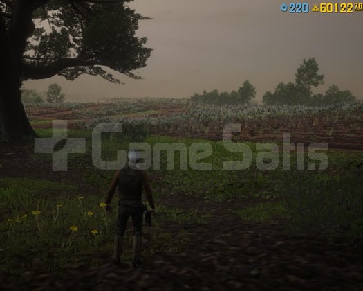 RDR 2 60.000 GOLD +910 LEVEL +5.000.000 +İLK MAİL