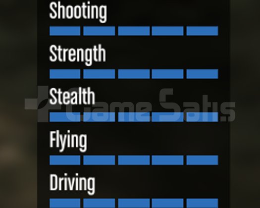10 MODLU ARAÇ 10 MODLU KIYFT 1 MR 999 LVL