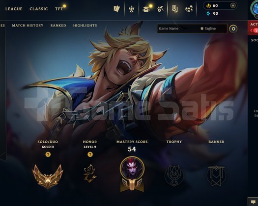 TR gold 2 95 LP hesap