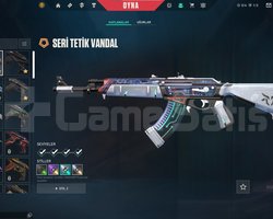 25 Tane Parayla Alınmış Skin