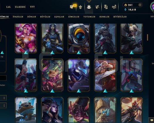 184 LVL + 165 KOSTÜM + 172 HERO + DEMİR 1 + MAİL!
