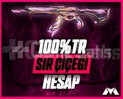 100TR VALORANT SIR ÇİÇEĞİ RANDOM HESAP