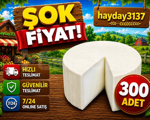 KAMPANYA 300 keçi peynir