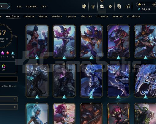 257 Skin Unraked - 238 level hesap