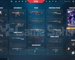 eski plat şuan unranked 22 skinli hesap