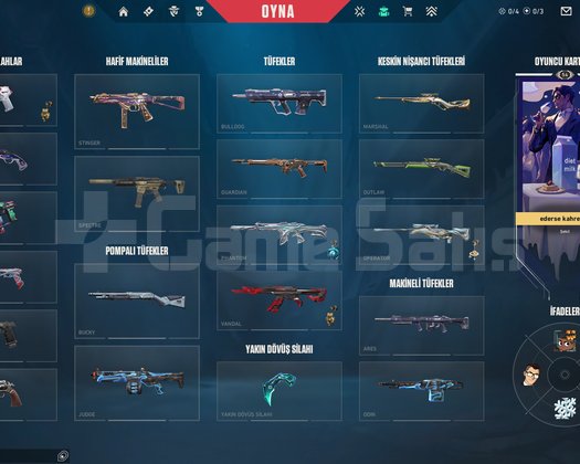 eski plat şuan unranked 22 skinli hesap