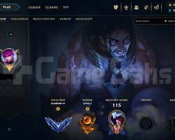 TR HANDMADE 70WR D4 ACC