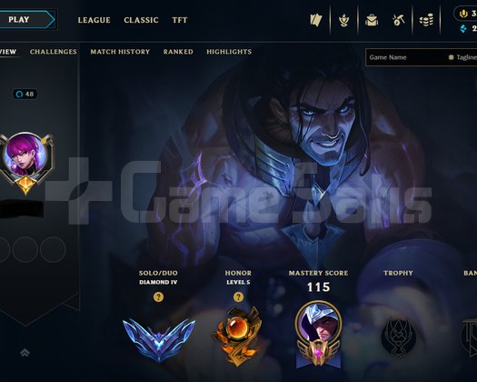 TR HANDMADE 70WR D4 ACC
