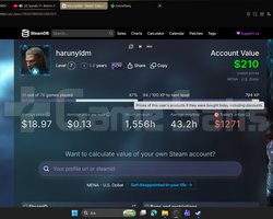 5 SENELİK HİKAYELİ OYUN AĞIRLIKLI STEAM HESABI