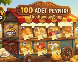 100 adet peynir