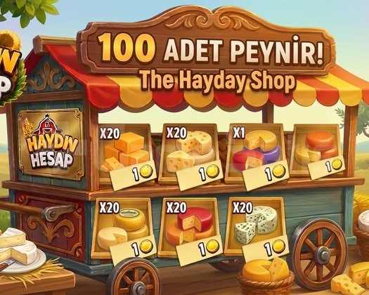100 adet peynir