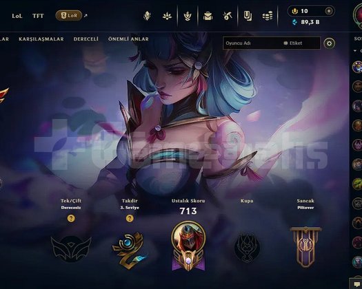 TR-491LV-252 SKİN-NEREDEYSE FULL HERO- 90K MAVİ ÖZ