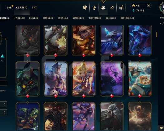 326 LEVEL / 270 SKİN / FUL HERO +MAİL +16K SATIŞ