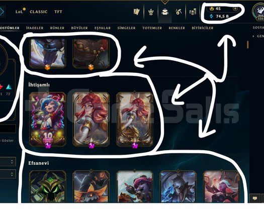 326 LEVEL / 270 SKİN / FUL HERO +MAİL +16K SATIŞ