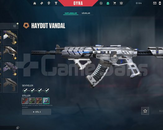 17k Değerinde Dolu Hesap