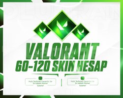 VALORANT 60-120 SKIN - GARANTİLİ - MAİL DEĞİŞEN!