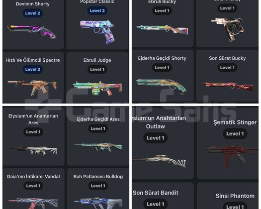 İmmo 2 bitirmiş Bol Skinli Sıkmayan Hesap