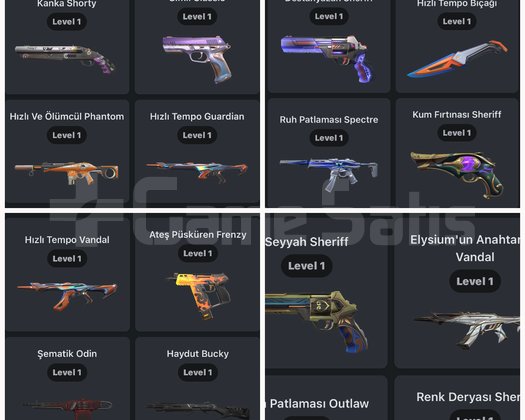 İmmo 2 bitirmiş Bol Skinli Sıkmayan Hesap