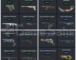 İmmo 2 bitirmiş Bol Skinli Sıkmayan Hesap