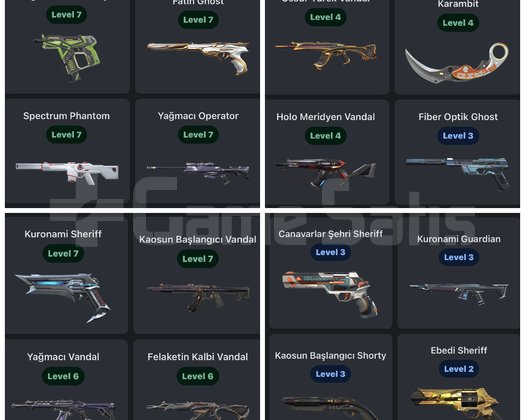 İmmo 2 bitirmiş Bol Skinli Sıkmayan Hesap