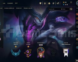 EUW BOL SKİNLİ HANDMADE PLAT HESAP