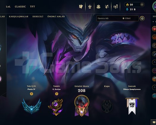EUW BOL SKİNLİ HANDMADE PLAT HESAP