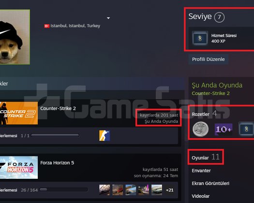 TR HESAP+FACEIT+4 MADALYA+ WITCHER3