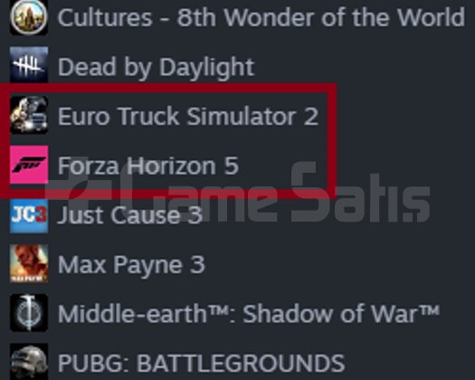 TR HESAP+FACEIT+4 MADALYA+ WITCHER3