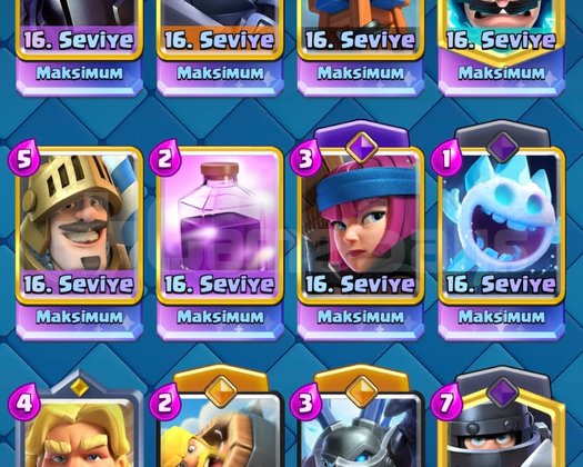 1635 LEVEL + 100 EMOTE + 15 ADET MAX KART !