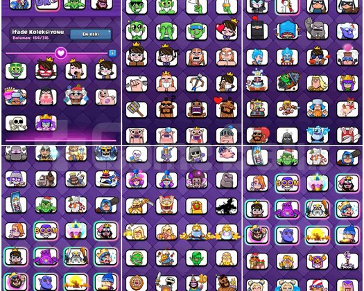 30 Evrimli 27 Adet 16 LVL 165 Emojili FULL FULL