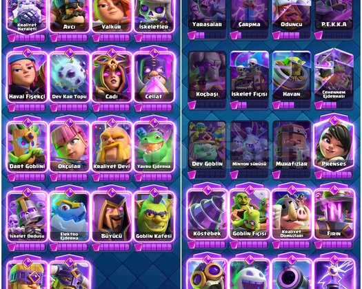 30 Evrimli 27 Adet 16 LVL 165 Emojili FULL FULL