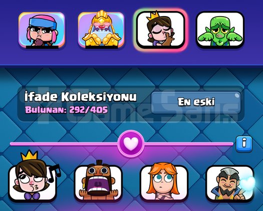 106 MAXLI FULL+FULL ÖMÜRLÜK HESAP