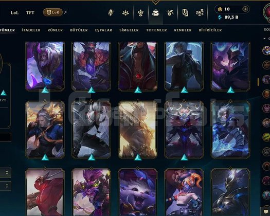 TR/ 491 LV / 252 SKIN / FULL HERO / 89.000 MAVİ ÖZ