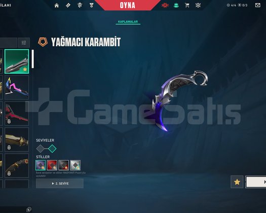 Bol Skinli Valorant Hesabı