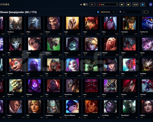 TR / 69 LVL + 18 SKİN + Gümüş 1